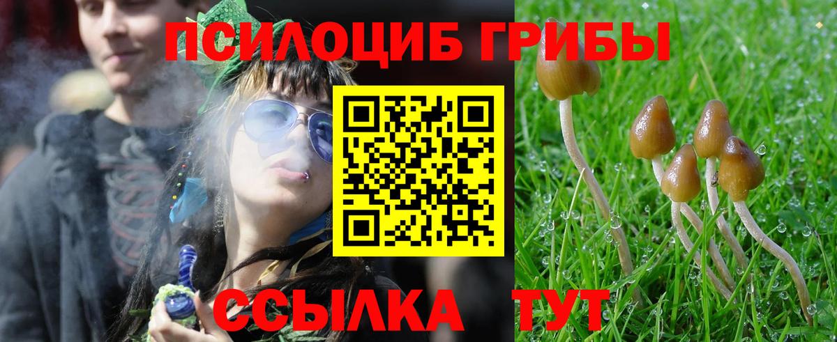 Псилоцибиновые грибы GOLDEN TEACHER  Вход с VPN  Галлюциногенные грибы Psilocybe  Славгород 