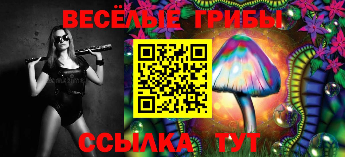 Галлюциногенные грибы GOLDEN TEACHER Славгород