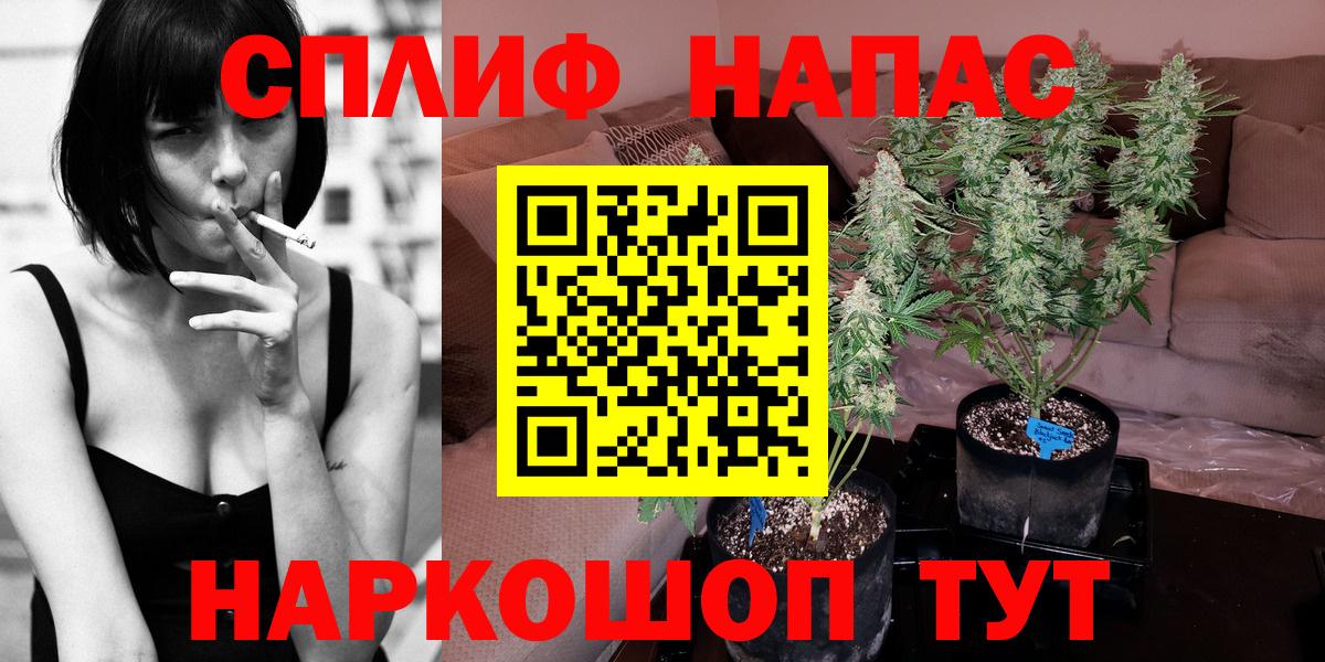 Канабис LSD WEED  Вход с VPN  Славгород  Бошки Шишки SATIVA & INDICA 